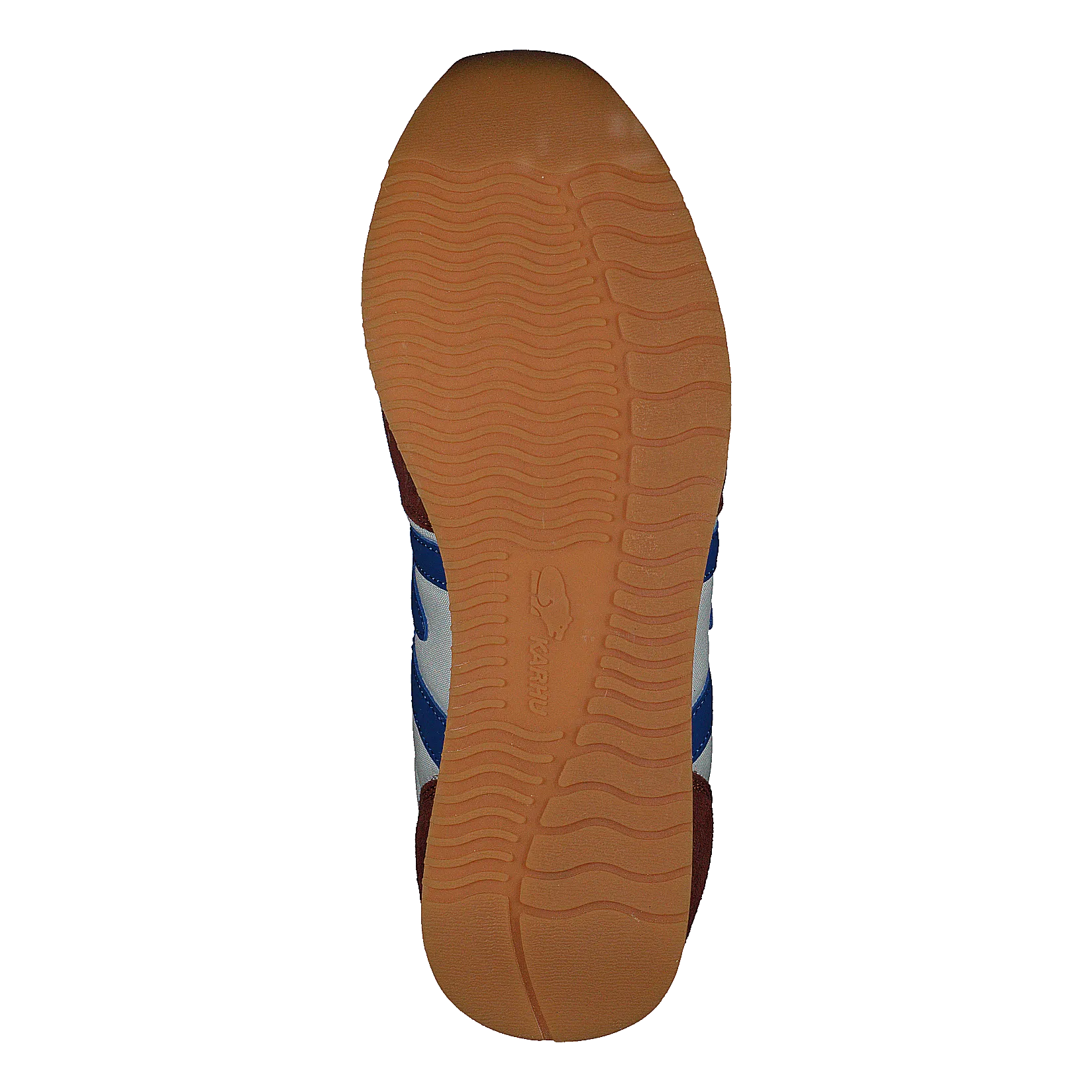 Albatross Auburn/snorkel Blue