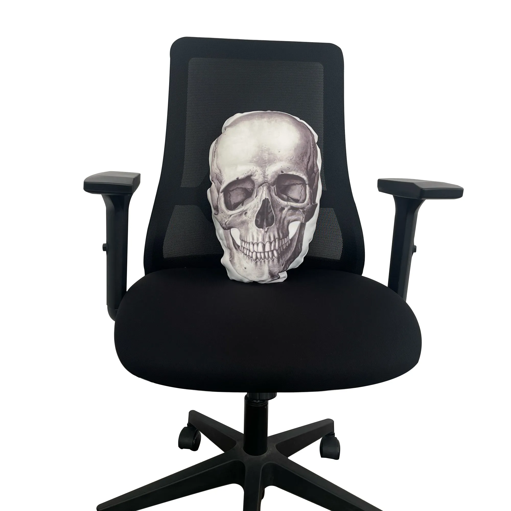 Anatomy Skull Cushion