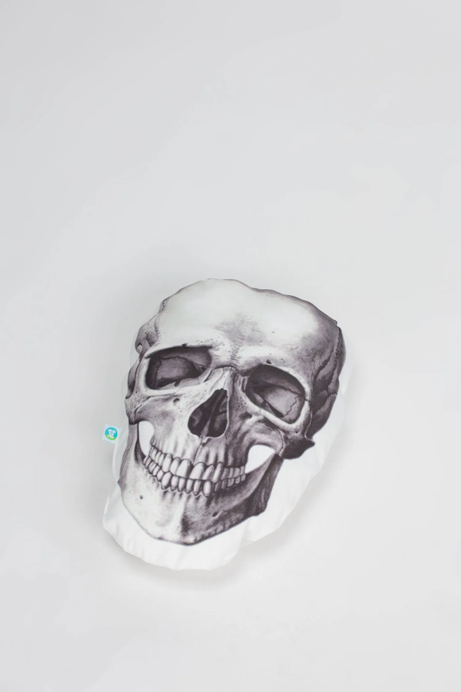 Anatomy Skull Cushion