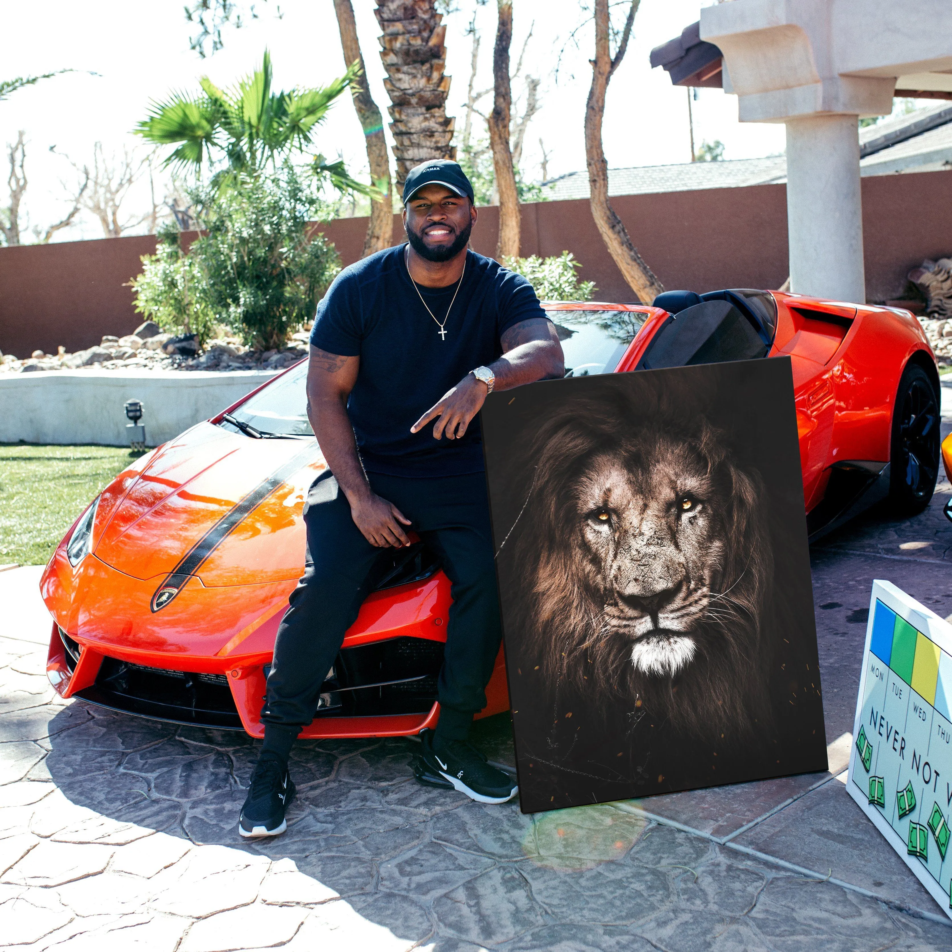 Big Cat