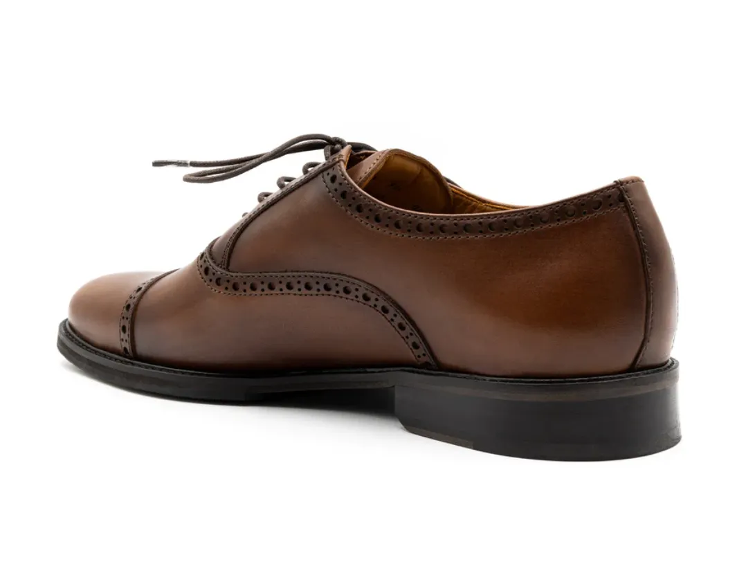 Cambridge Cap Toe Dress Shoe Chocolate